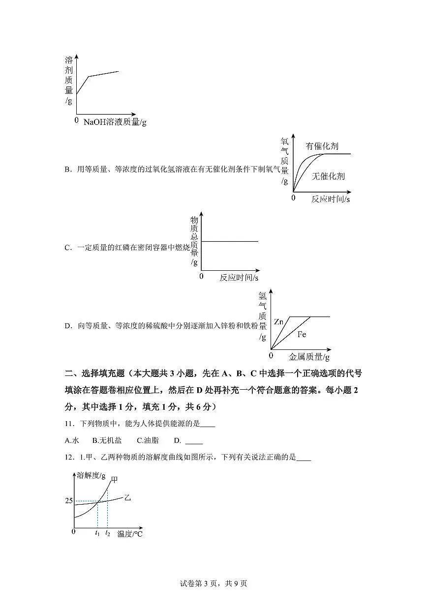 2025届江西省南昌市南昌县中考（一模）化学检测试题（含解析）第3页
