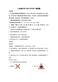 山东临沂市2025年中考一模化学试题（解析版）