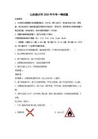 山东临沂市2025年中考一模化学试题（解析版）