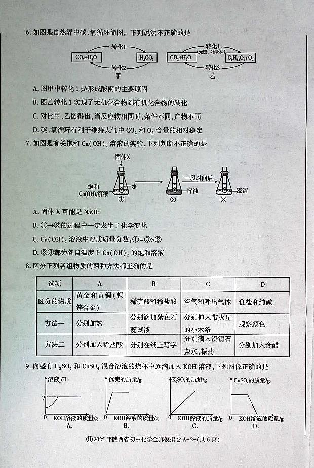 2025年陕西省初中化学学业水平考试全真模拟卷第2页