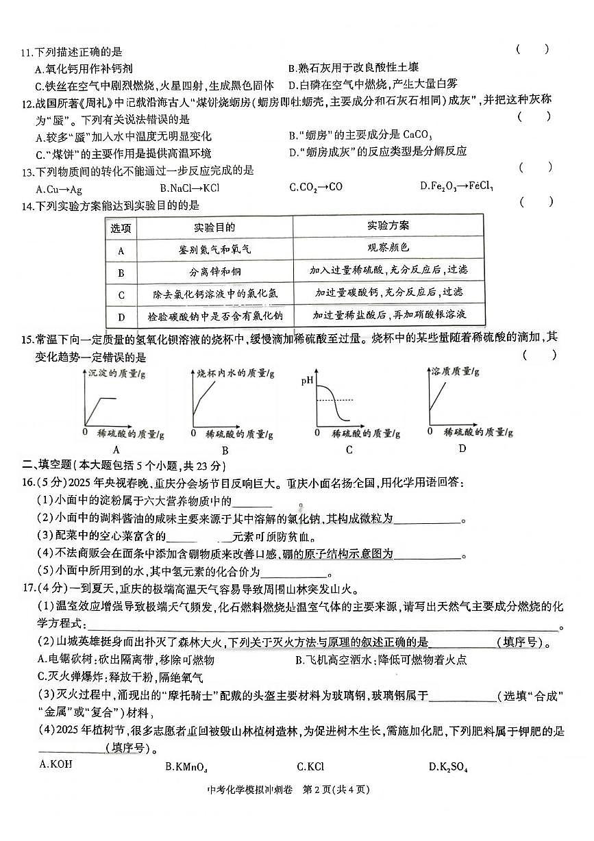 2025年重庆市彭水县中考模拟冲刺化学试题（中考模拟）第2页