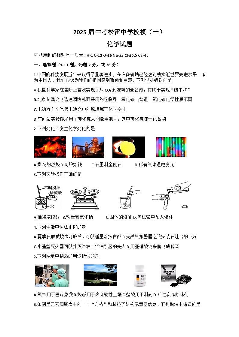 2025年黑龙江省哈尔滨市松雷中学中考一模化学试题（中考模拟）第1页