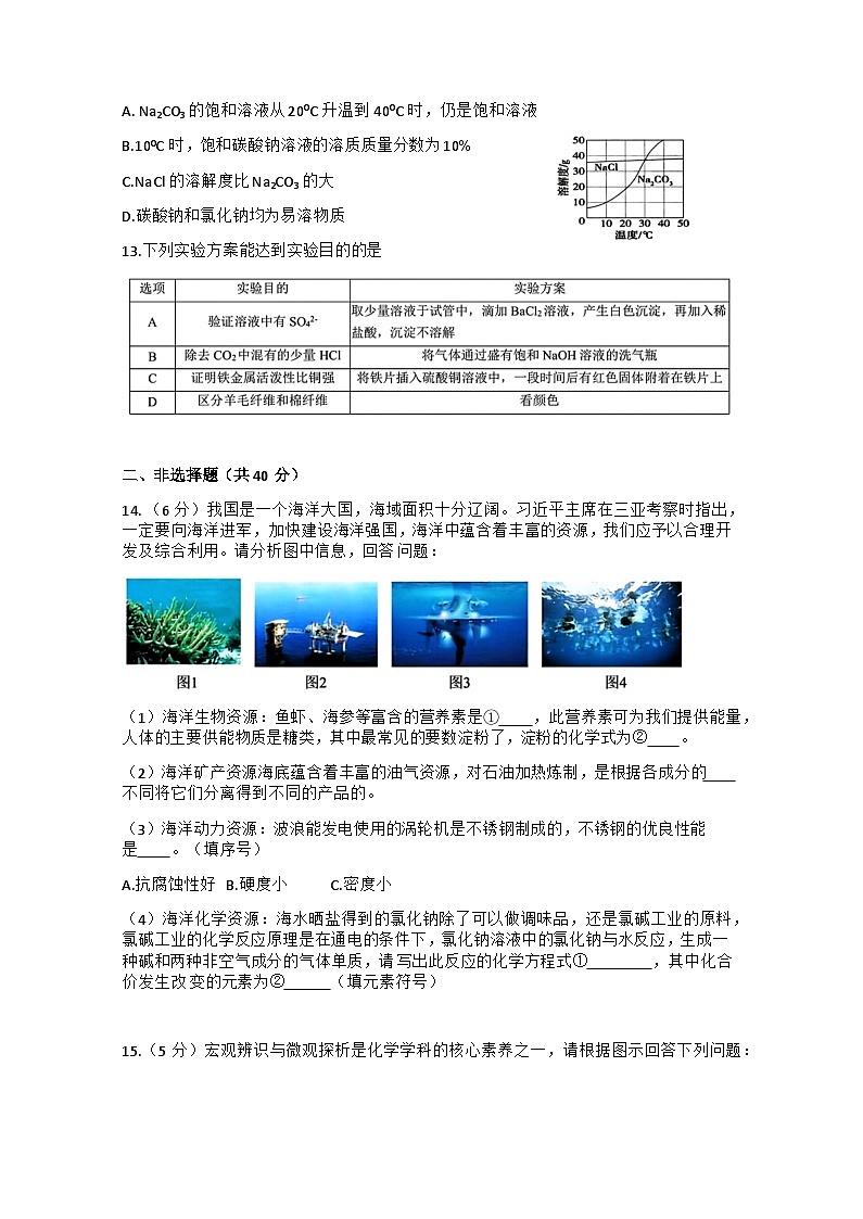 2025年黑龙江省哈尔滨市松雷中学中考一模化学试题（中考模拟）第3页