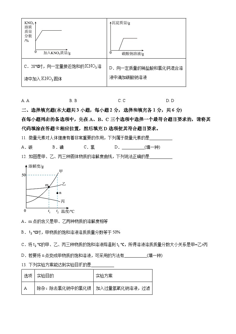 2025年江西省九江市第一中学中考一模化学试题（中考模拟）第3页