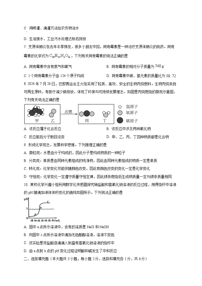 江西省九江市永修县2024-2025学年九年级下学期3月月考化学检测试题（附答案）第2页