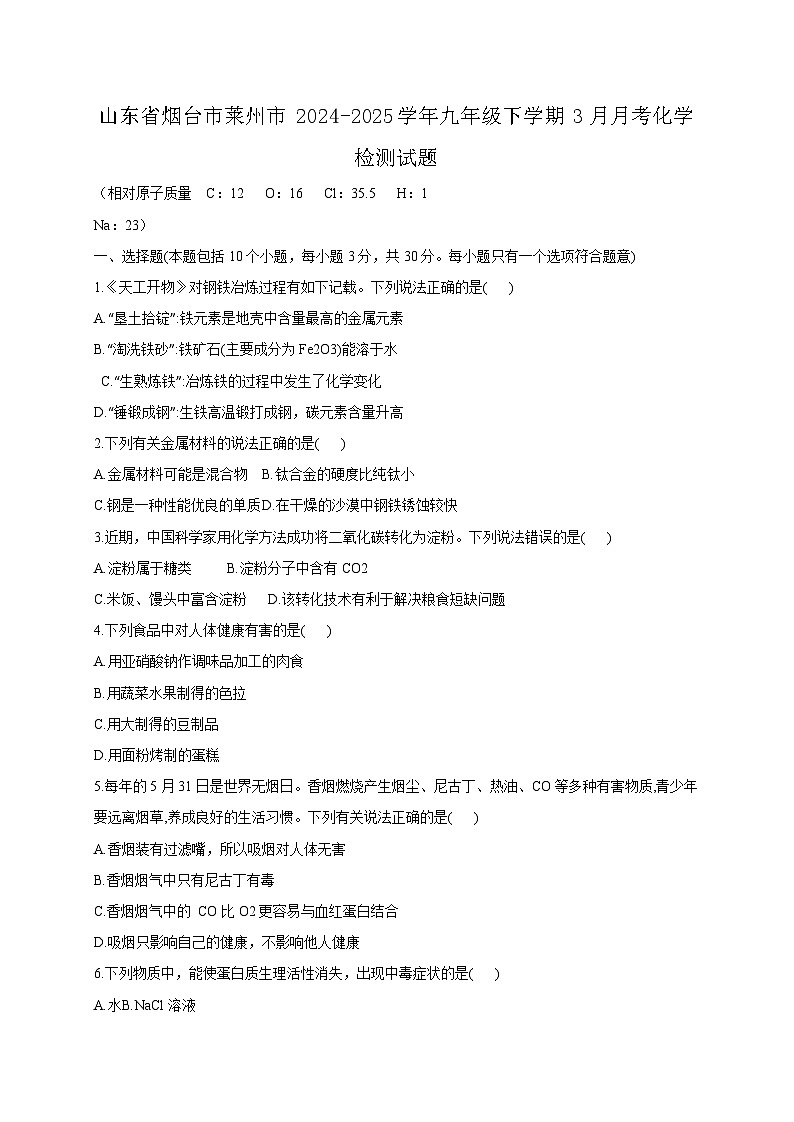 山东省烟台市莱州市2024-2025学年九年级下学期3月月考化学检测试题（附答案）第1页