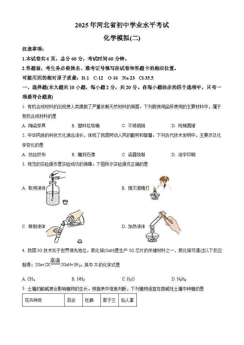 河北省廊坊市第十中学2024-2025学年九年级下学期3月月考化学试题（原卷版+解析版）第1页