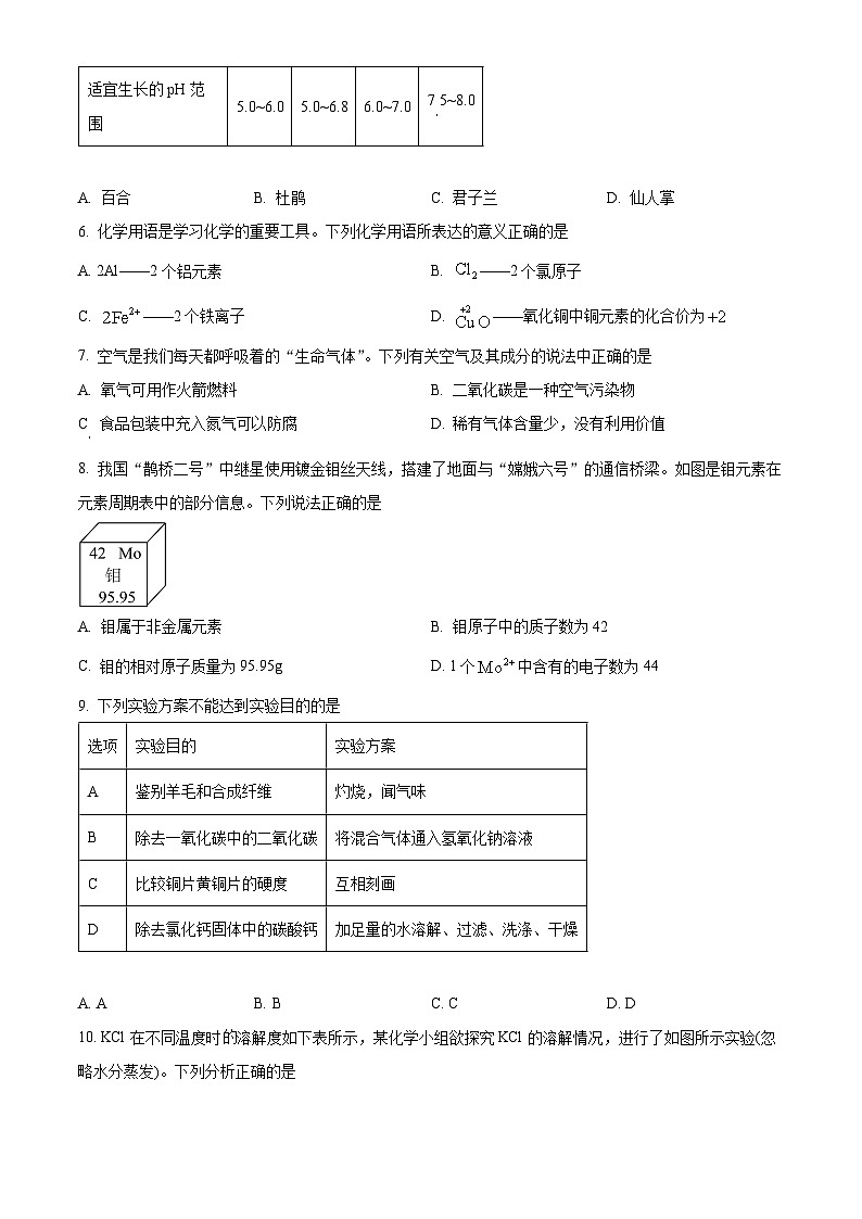 河北省廊坊市第十中学2024-2025学年九年级下学期3月月考化学试题（原卷版+解析版）第2页