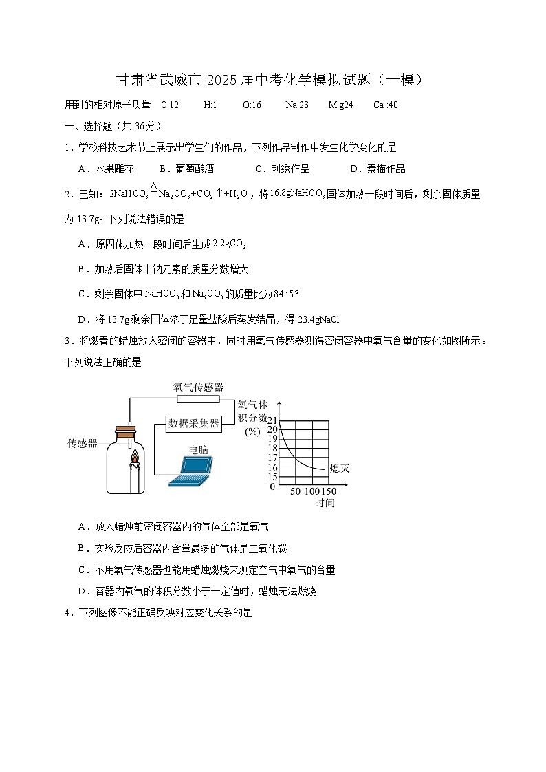 甘肃省武威市2025届中考化学模拟试题（一模）含答案第1页