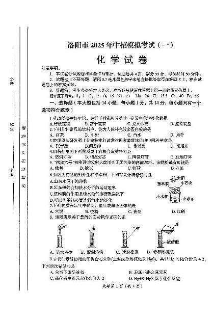 2025年河南省洛阳市中招模拟考试化学试卷（一）（中考模拟）第1页