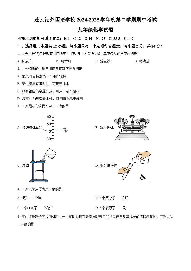 2025年江苏省连云港市外国语学校中考一模化学试题（中考模拟）第1页