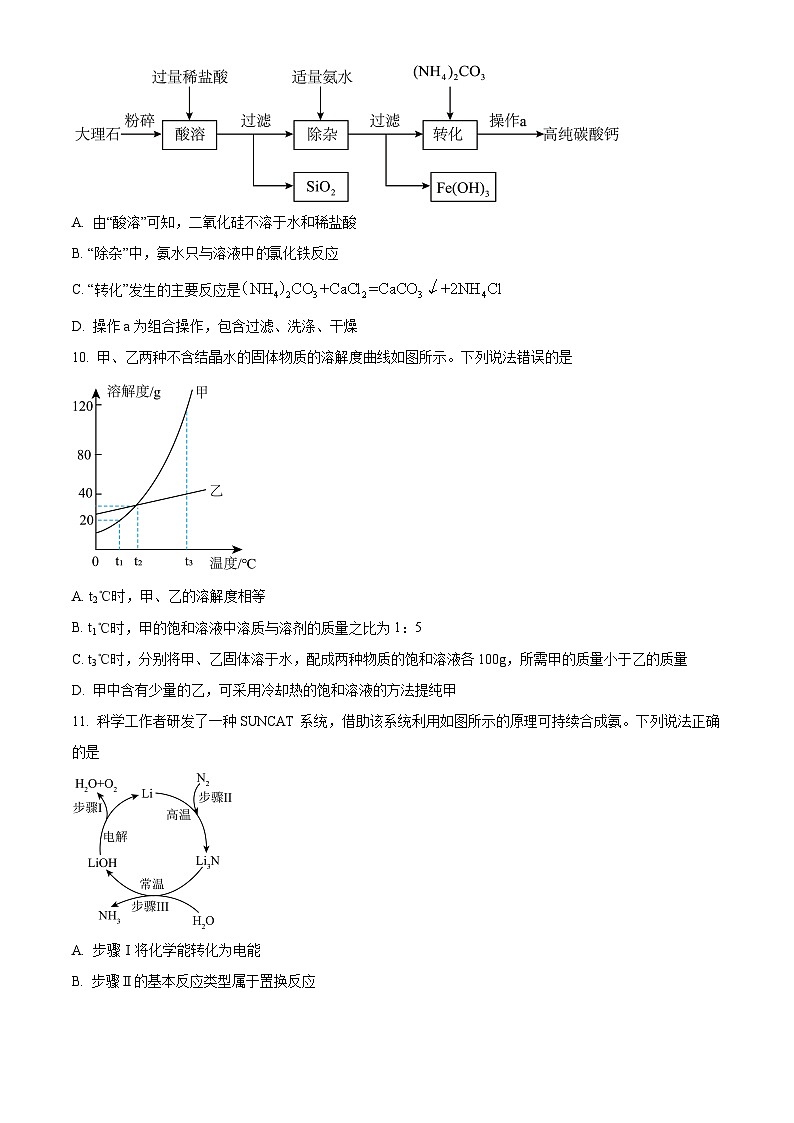 2025年江苏省连云港市外国语学校中考一模化学试题（中考模拟）第3页