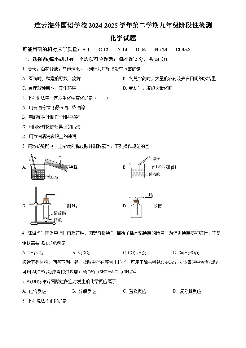 江苏省连云港市海州区外国语学校2024-2025学年九年级下学期三月月考化学试题（原卷版+解析版）第1页
