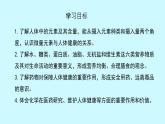 11.1+化學與人體健康+課件 2025學年九年級化學下學期同步教學課件人教版下冊）