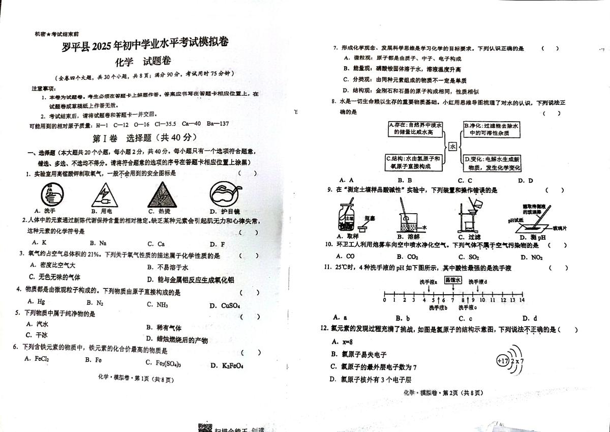 云南省罗平县2025年初中学业水平考试模拟卷化学试题卷第1页