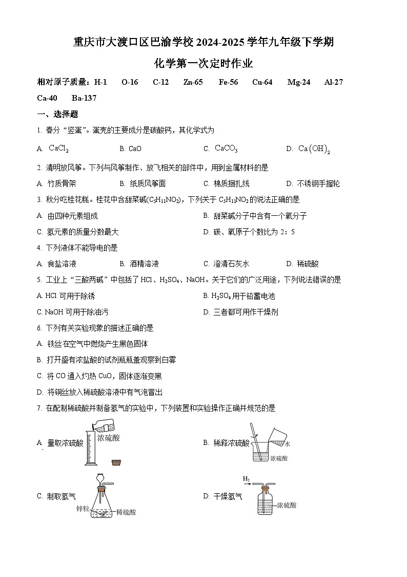 重庆市大渡口区巴渝学校2024-2025学年九年级下学期第一次月考化学试题（原卷版+解析版）第1页