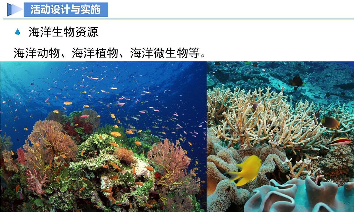 【核心素养】人教版化学九年级下册 跨学科实践活动8 海洋资源的综合利用与制盐 同步课件第6页