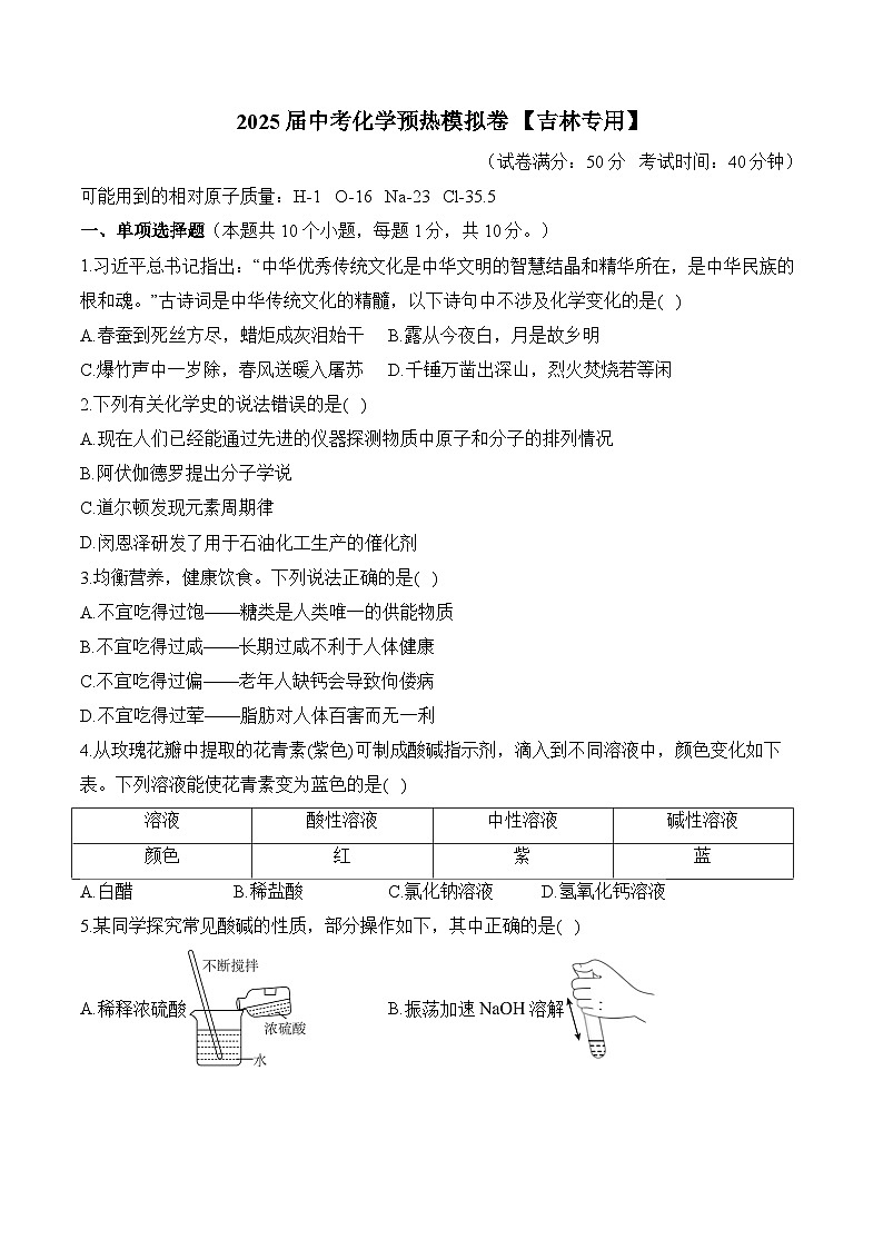 2025届中考化学模拟卷 【吉林专用】第1页