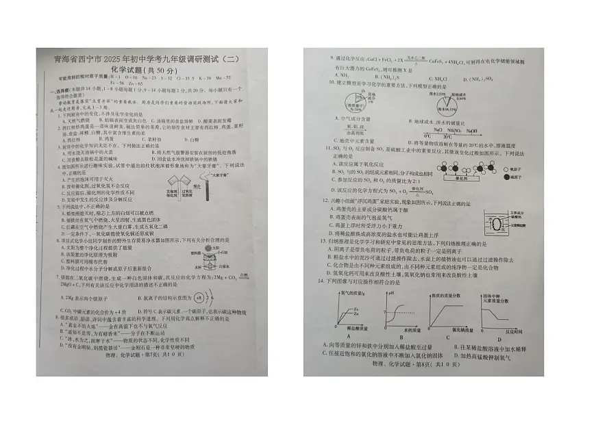 2025年青海省西宁市九年级调研测试（二）化学试卷（中考模拟）第1页