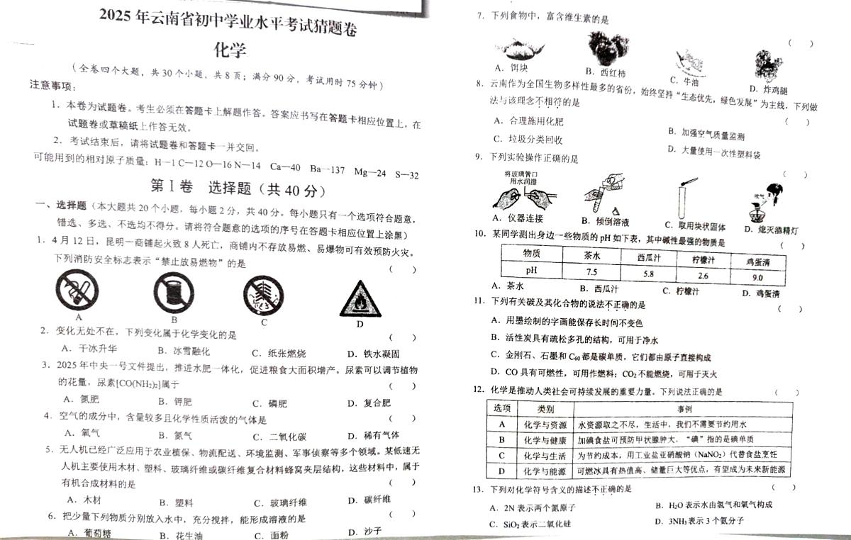 2025年云南省石林县鹿阜中学九年级5月月考化学卷第1页
