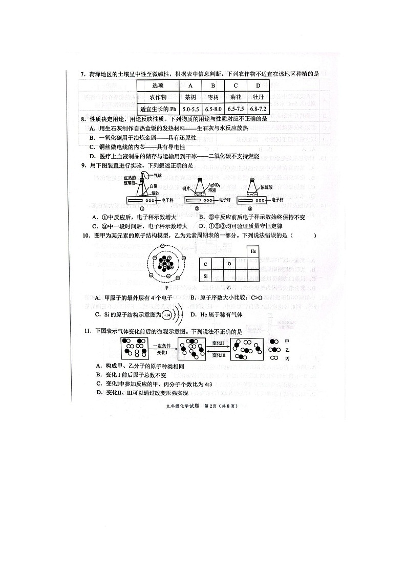 2025年山东省菏泽市牡丹区二模化学试题含答案 2025年山东省菏泽市牡丹区二模化学试题第2页