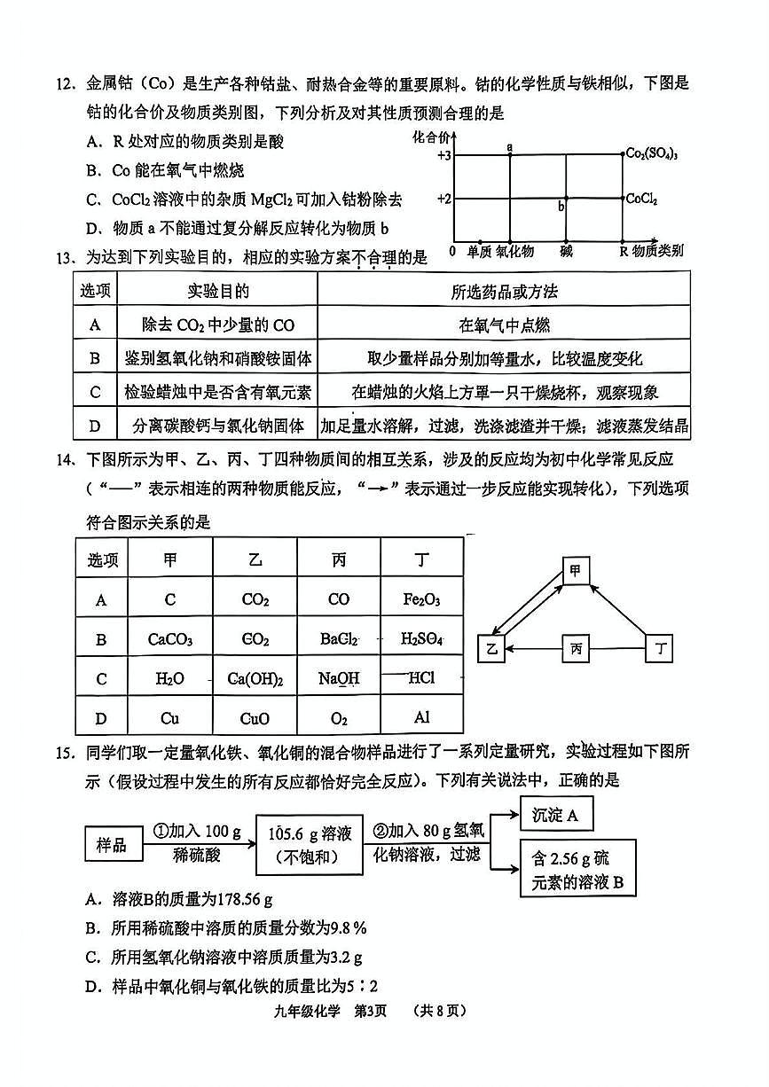 2025年天津市南开区中考二模考试化学试题第3页