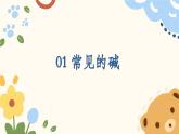 8.2+常見的酸和堿（第3課時）---2024-2025學(xué)年九年級化學(xué)滬教版(2024)下冊課件