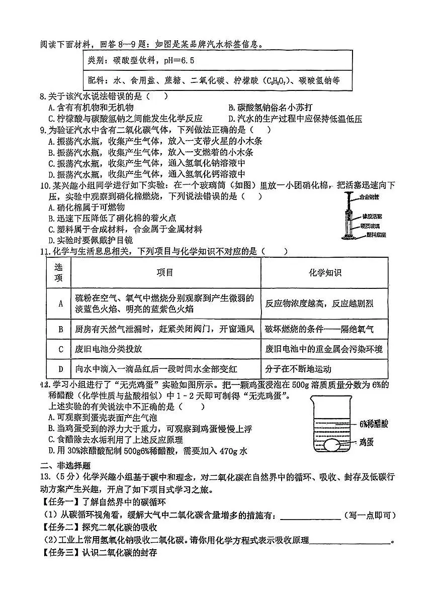 2025年安徽省合肥市寿春中学（南国）中考三模化学卷（中考模拟）第2页