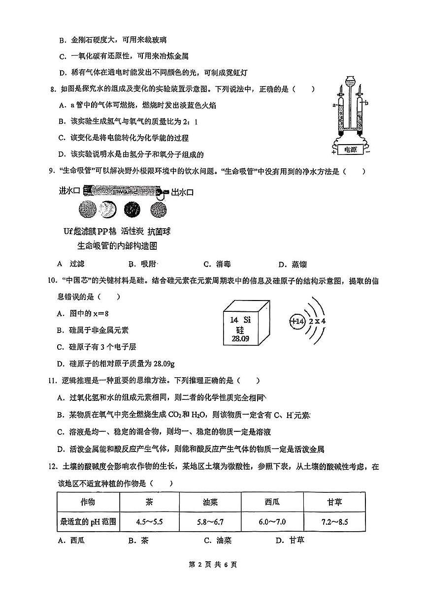 2025年湖南省衡阳市八中教育集团第二次模拟考试化学试卷（中考模拟）第2页