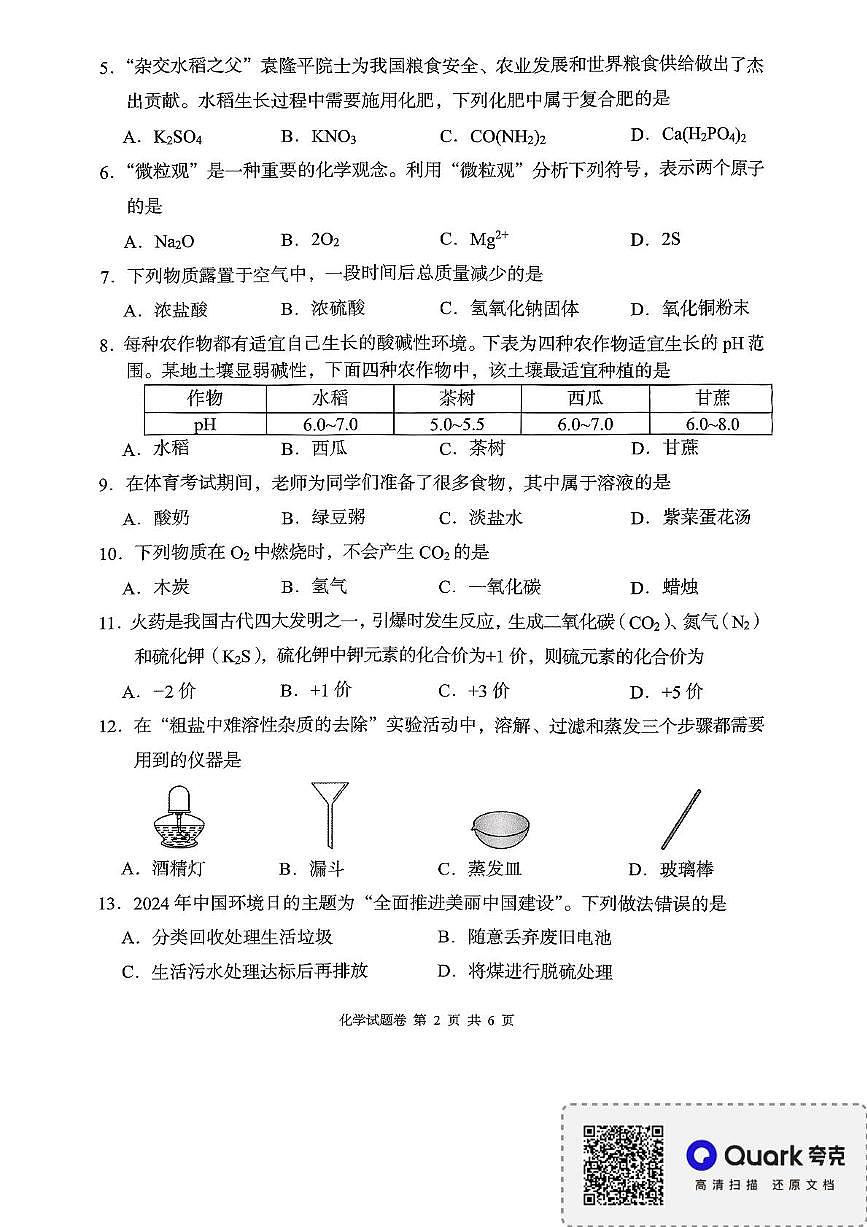 2025年湖南省益阳第二次中考模拟预测化学试题（中考模拟）第2页