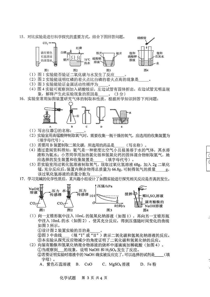 2025年吉林省长春市九台区中考第二次模拟考试化学试题（中考模拟）第3页