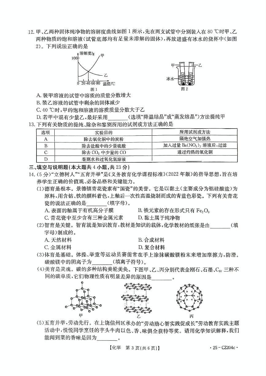 2025年江西省九江市瑞昌市中考三模化学试题（中考模拟）第3页