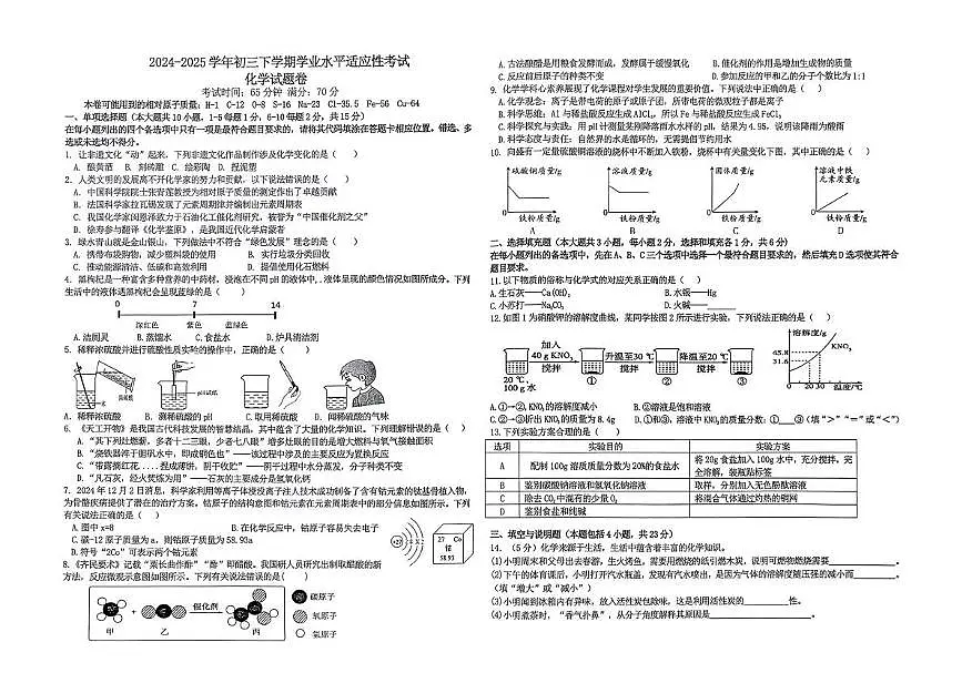 2025年江西省新余市渝水区学业水平适应性考试 化学试题卷（中考模拟）第1页