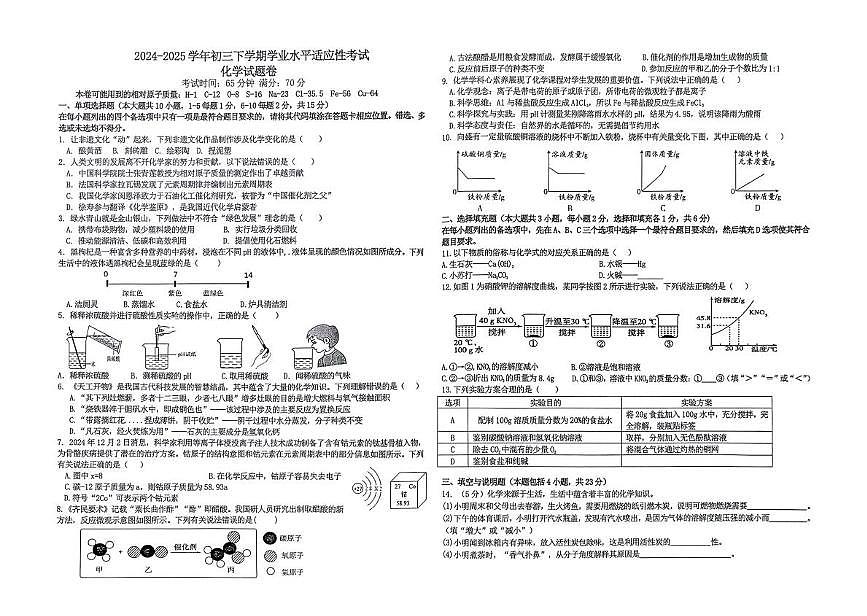 2025年江西省新余市渝水区学业水平适应性考试 化学试题卷（中考模拟）第1页