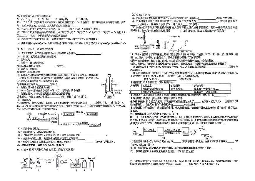 2025年江西省新余市渝水区学业水平适应性考试 化学试题卷（中考模拟）第2页