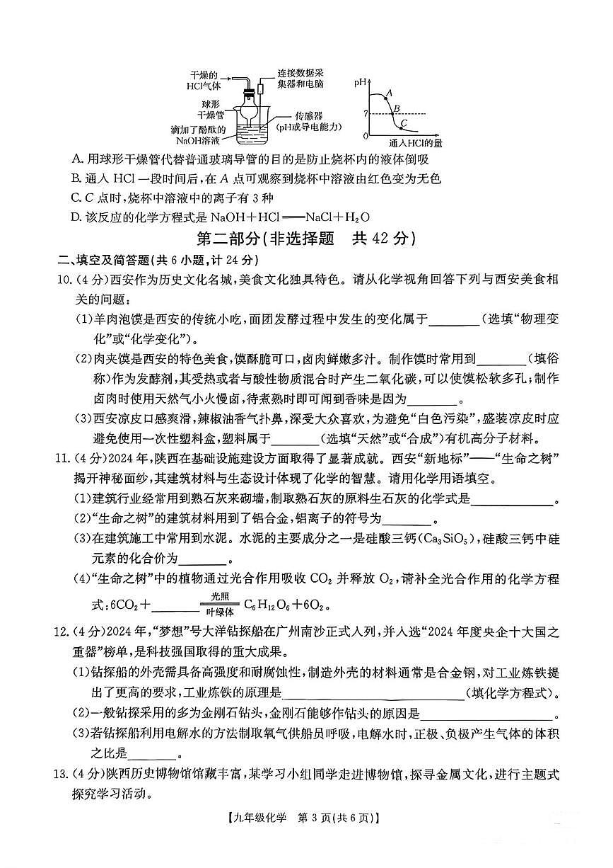 2025年陕西省咸阳市永寿县店头中学中考第八次模考化学试题（中考模拟）第3页