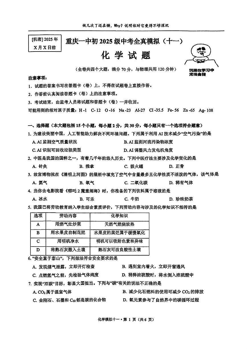 2025年重庆市第一中学中考全真模拟（十一)化学试题（中考模拟）第1页