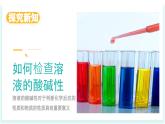 2025年春魯教版化學(xué)九年級(jí)下冊(cè) 第七單元 第3節(jié) 溶液的酸堿性（同步課件）
