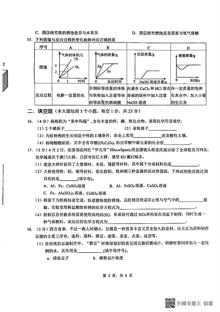 2025年重庆市实验中学教育集团9年级下期中考模拟化学试题 九年级化学试题第3页