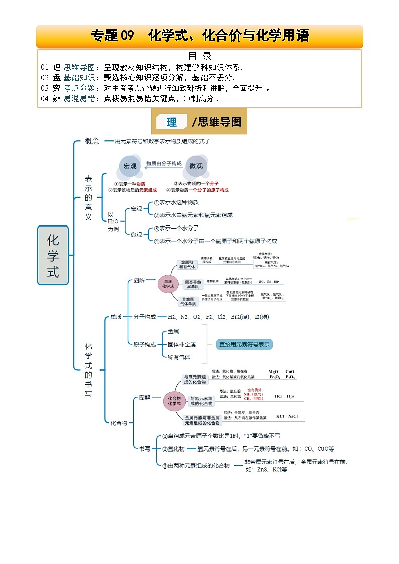 2025年中考化学专项复习讲义专题09 化学式、化合价与化学用语(原卷版)第1页