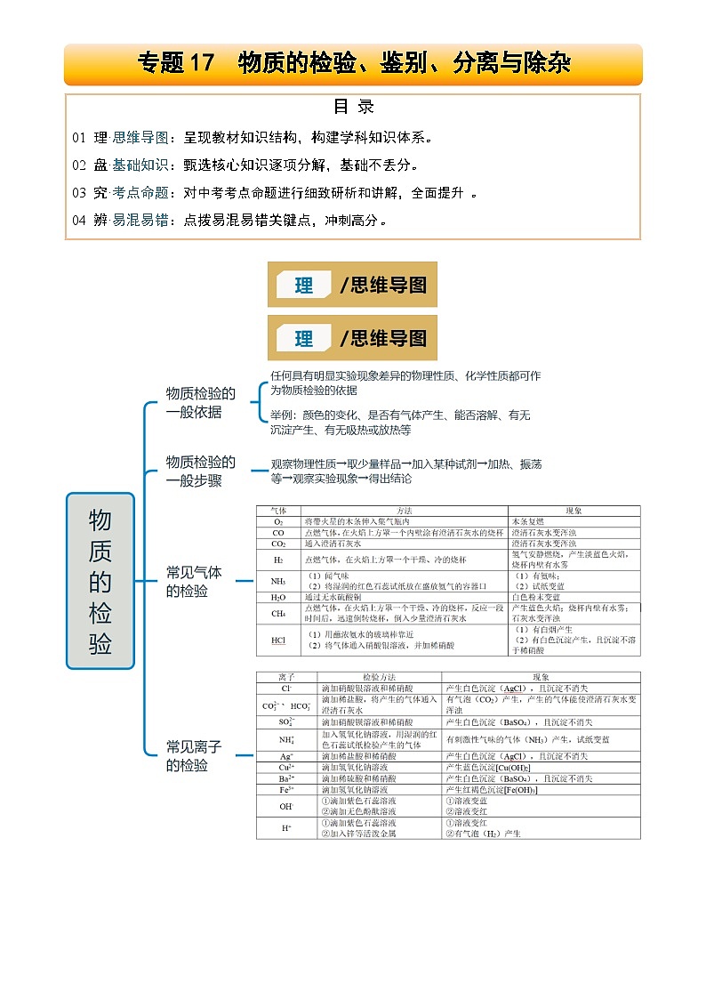 2025年中考化学专项复习讲义专题17 物质的检验、鉴别、分离与除杂(原卷版)第1页