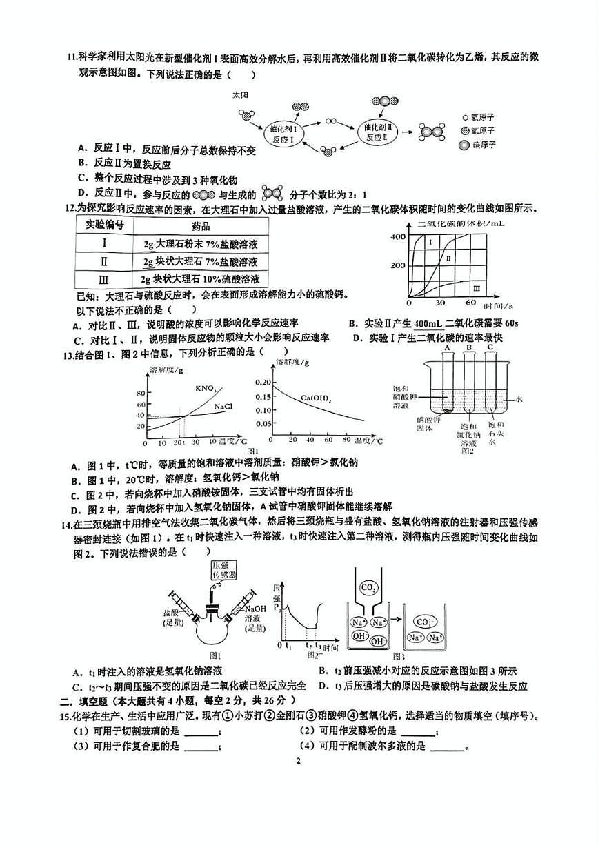 2025年海南省海南华侨中学五源河等学校中考第二次联考化学试题（中考模拟）第2页