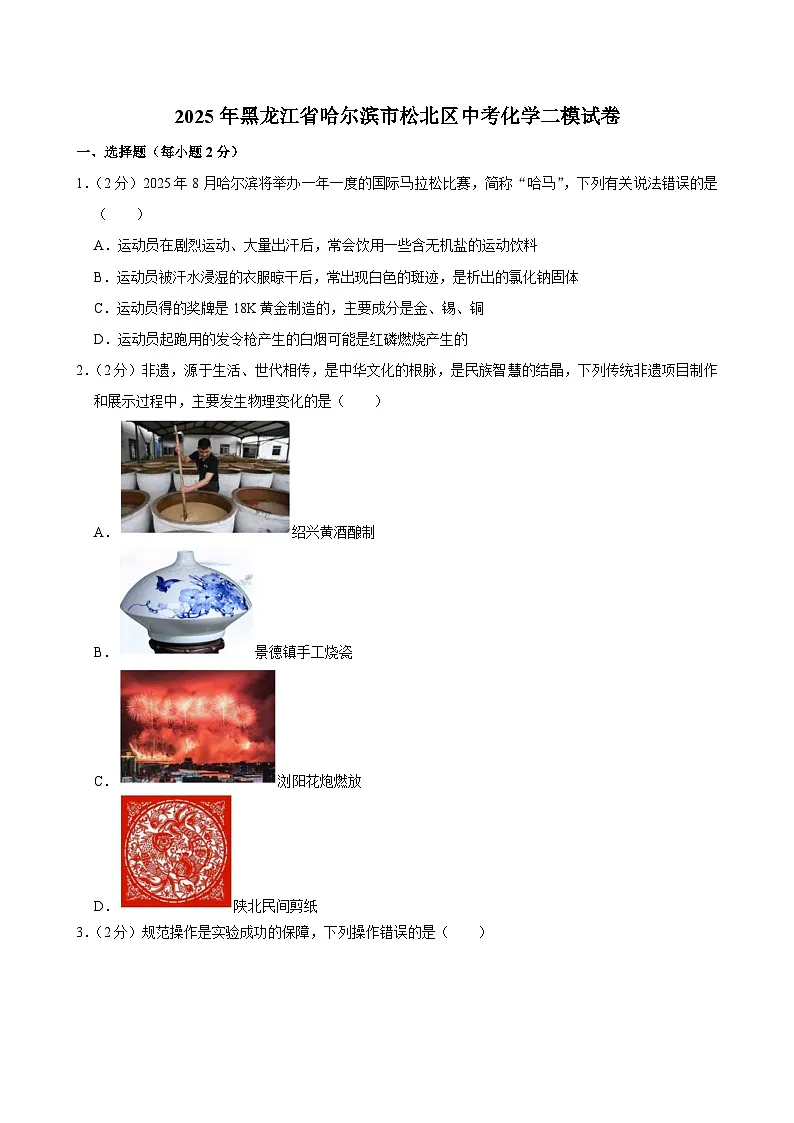 2025年黑龙江省哈尔滨市松北区中考二模化学试卷（中考模拟）第1页