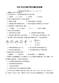 2025年甘肃省武威市凉州区凉州区九墩滩、洪祥九年制学校中考三模化学试题