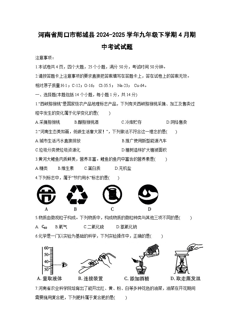 化学：河南省周口市郸城县2024-2025学年九年级下学期4月期中考试试题第1页