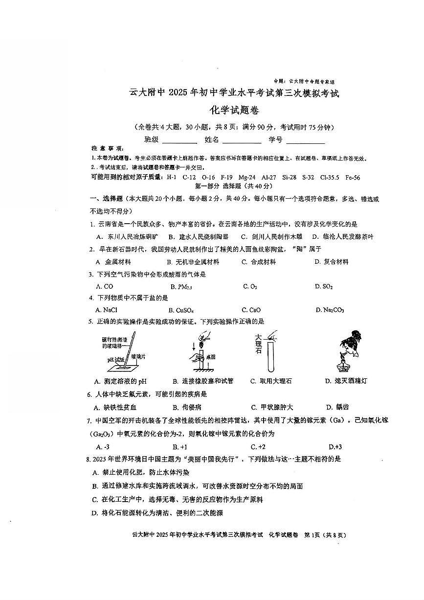 云南省昆明市云大附中2025年初中学业水平考试第三次模拟考试化学试卷（PDF版，无答案）第1页