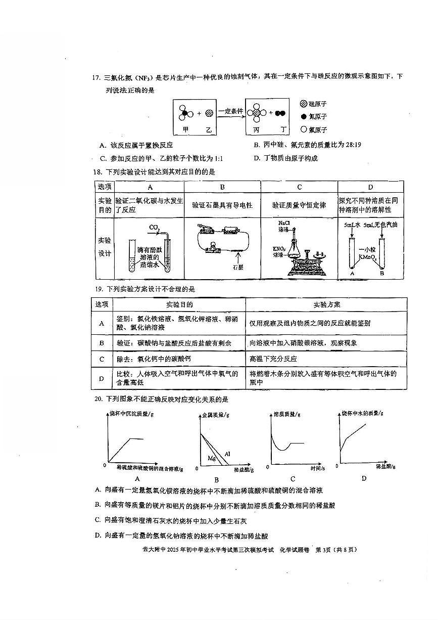 云南省昆明市云大附中2025年初中学业水平考试第三次模拟考试化学试卷（PDF版，无答案）第3页