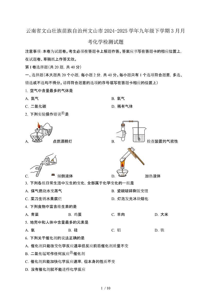 云南文山壮族苗族自治州文山2024_2025学年九年级第二学期3月月考化学试卷[有答案]第1页