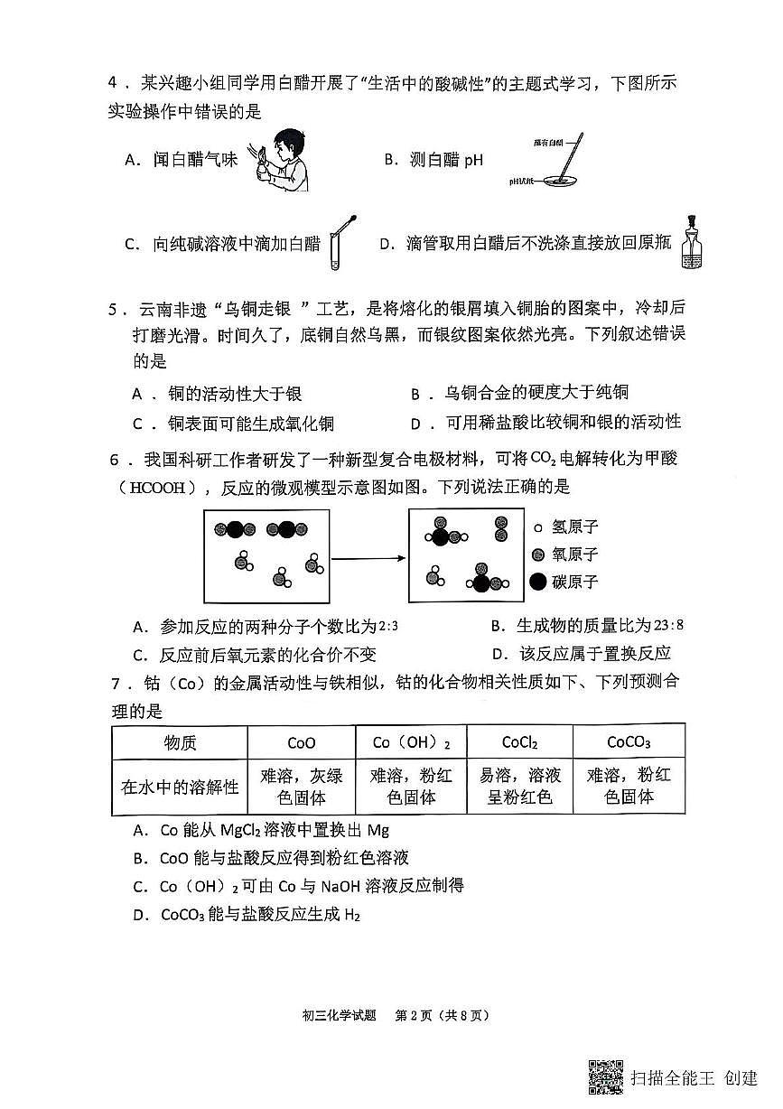 2025年福建省泉州市鲤城区培元中学中考模拟试卷化学试题　（中考模拟）第2页