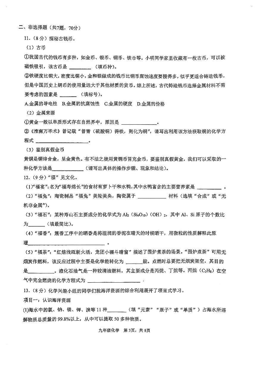 2025年福建省福州第十九学中考模拟化学试卷（1）（中考模拟）第3页